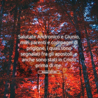 Picture 05 - Romani 16:7 RIV - Salutate Andronico e Giunio, miei parenti e - Bible Verse Picture