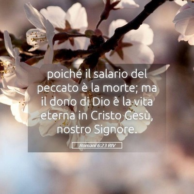 Picture 05 - Romani 6:23 RIV - poiché il salario del peccato è la morte; ma il - Bible Verse Picture