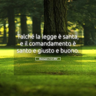 Picture 05 - Romani 7:12 RIV - Talché la legge è santa, e il comandamento è - Bible Verse Picture