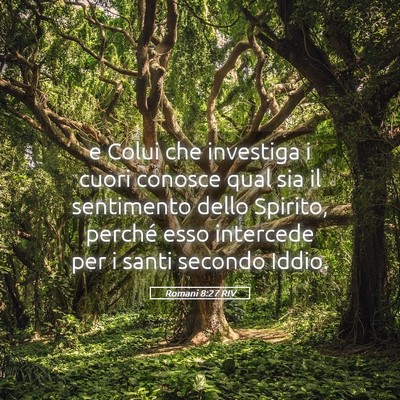 Picture 05 - Romani 8:27 RIV - e Colui che investiga i cuori conosce qual sia il - Bible Verse Picture