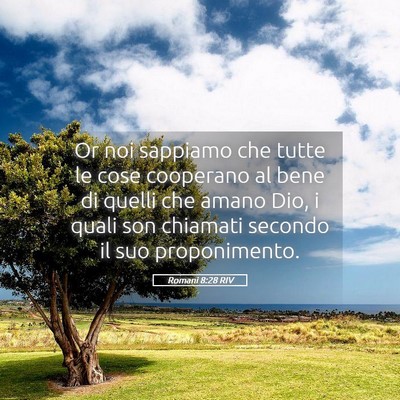 Picture 05 - Romani 8:28 RIV - Or noi sappiamo che tutte le cose cooperano al - Bible Verse Picture