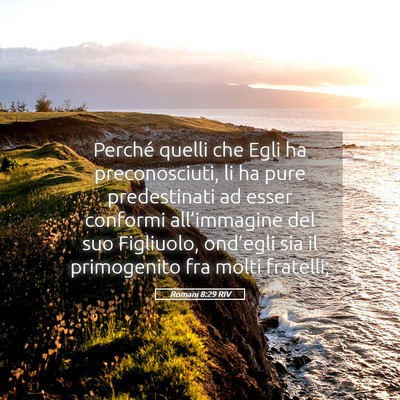 Picture 05 - Romani 8:29 RIV - Perché quelli che Egli ha preconosciuti, li ha - Bible Verse Picture