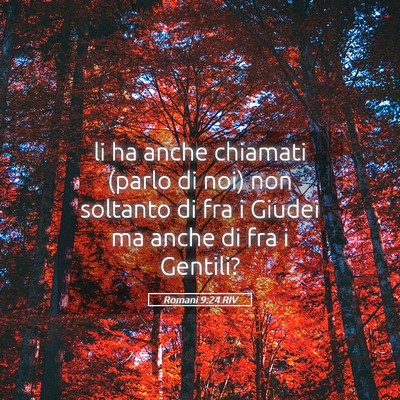 Picture 05 - Romani 9:24 RIV - li ha anche chiamati (parlo di noi) non soltanto - Bible Verse Picture