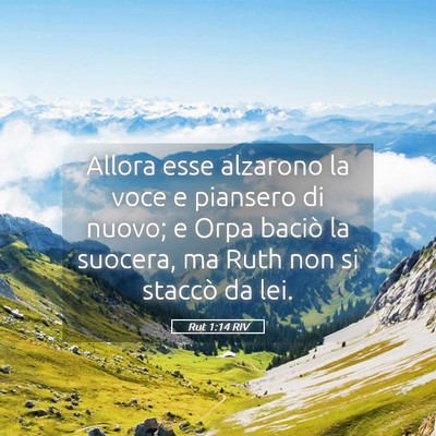 Picture 05 - Rut 1:14 RIV - Allora esse alzarono la voce e piansero di nuovo; - Bible Verse Picture