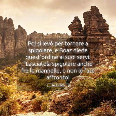 Picture 05 - Rut 2:15 RIV - Poi si levò per tornare a spigolare, e Boaz - Bible Verse Picture