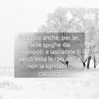 Picture 05 - Rut 2:16 RIV - E cavate anche, per lei, delle spighe dai - Bible Verse Picture
