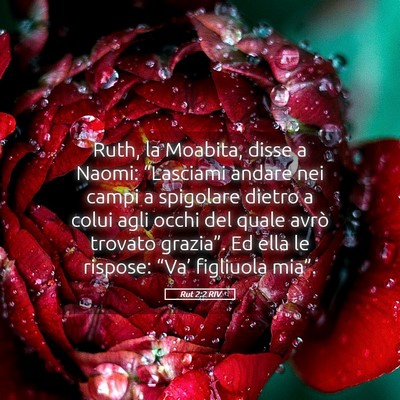 Picture 05 - Rut 2:2 RIV - Ruth, la Moabita, disse a Naomi: “Lasciami - Bible Verse Picture