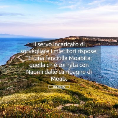 Picture 05 - Rut 2:6 RIV - Il servo incaricato di sorvegliare i mietitori - Bible Verse Picture