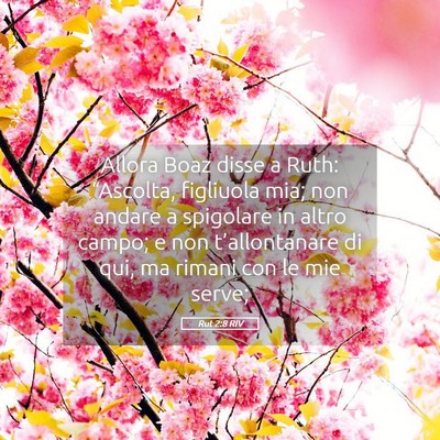 Picture 05 - Rut 2:8 RIV - Allora Boaz disse a Ruth: “Ascolta, figliuola - Bible Verse Picture