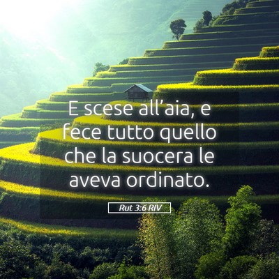 Picture 05 - Rut 3:6 RIV - E scese all’aia, e fece tutto quello che la - Bible Verse Picture
