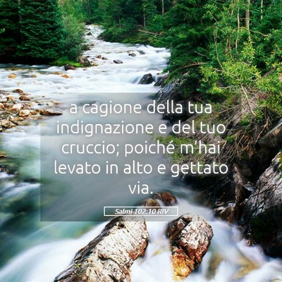 Picture 05 - Salmi 102:10 RIV - a cagione della tua indignazione e del tuo - Bible Verse Picture