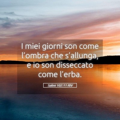 Picture 05 - Salmi 102:11 RIV - I miei giorni son come l’ombra che s’allunga, - Bible Verse Picture