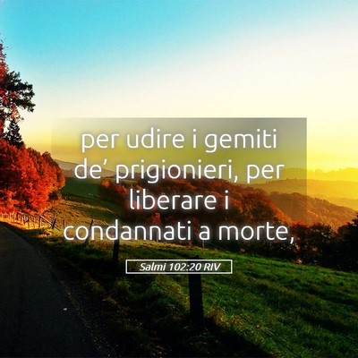 Picture 05 - Salmi 102:20 RIV - per udire i gemiti de’ prigionieri, per - Bible Verse Picture