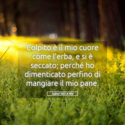 Picture 05 - Salmi 102:4 RIV - Colpito è il mio cuore come l’erba, e si è - Bible Verse Picture