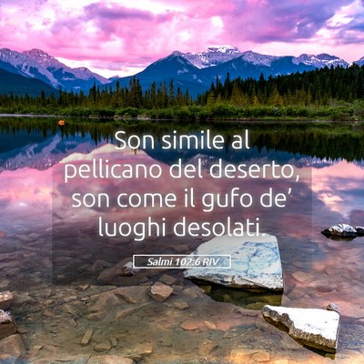 Picture 05 - Salmi 102:6 RIV - Son simile al pellicano del deserto, son come il - Bible Verse Picture