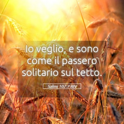 Picture 05 - Salmi 102:7 RIV - Io veglio, e sono come il passero solitario sul - Bible Verse Picture