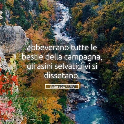 Picture 05 - Salmi 104:11 RIV - abbeverano tutte le bestie della campagna, gli - Bible Verse Picture