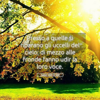 Picture 05 - Salmi 104:12 RIV - Presso a quelle si riparano gli uccelli del - Bible Verse Picture