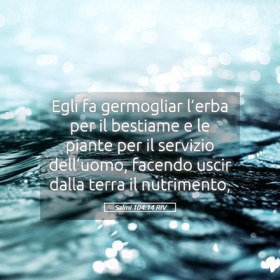 Picture 05 - Salmi 104:14 RIV - Egli fa germogliar l’erba per il bestiame e le - Bible Verse Picture