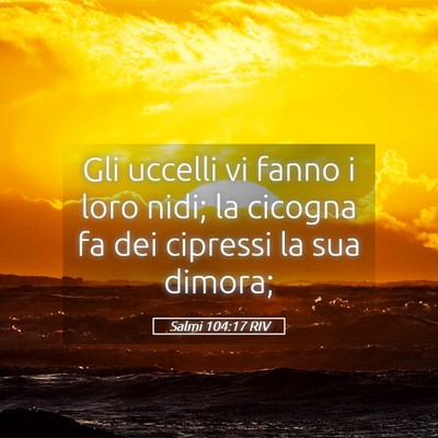 Picture 05 - Salmi 104:17 RIV - Gli uccelli vi fanno i loro nidi; la cicogna fa - Bible Verse Picture