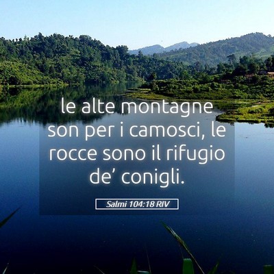 Picture 05 - Salmi 104:18 RIV - le alte montagne son per i camosci, le rocce sono - Bible Verse Picture