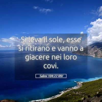Picture 05 - Salmi 104:22 RIV - Si leva il sole, esse si ritirano e vanno a - Bible Verse Picture