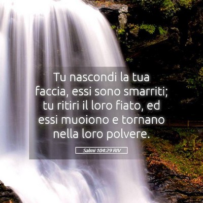 Picture 05 - Salmi 104:29 RIV - Tu nascondi la tua faccia, essi sono smarriti; tu - Bible Verse Picture