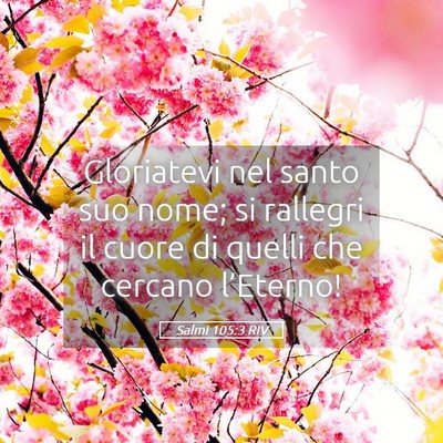 Picture 05 - Salmi 105:3 RIV - Gloriatevi nel santo suo nome; si rallegri il - Bible Verse Picture