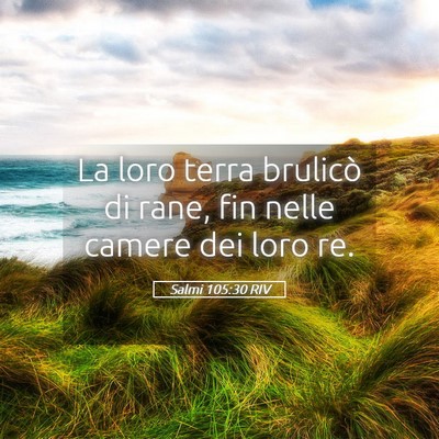Picture 05 - Salmi 105:30 RIV - La loro terra brulicò di rane, fin nelle camere - Bible Verse Picture