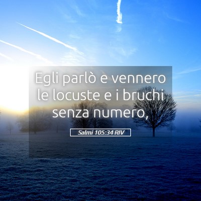 Picture 05 - Salmi 105:34 RIV - Egli parlò e vennero le locuste e i bruchi senza - Bible Verse Picture