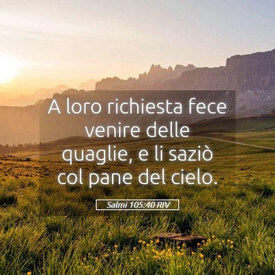 Picture 05 - Salmi 105:40 RIV - A loro richiesta fece venire delle quaglie, e li - Bible Verse Picture