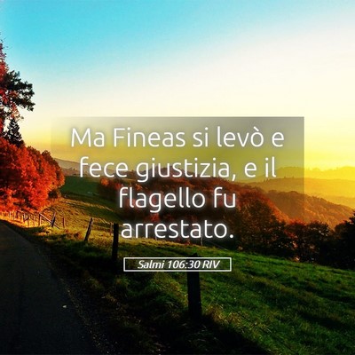 Picture 05 - Salmi 106:30 RIV - Ma Fineas si levò e fece giustizia, e il - Bible Verse Picture
