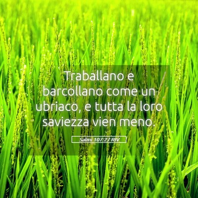 Picture 05 - Salmi 107:27 RIV - Traballano e barcollano come un ubriaco, e tutta - Bible Verse Picture