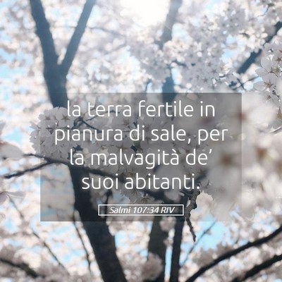 Picture 05 - Salmi 107:34 RIV - la terra fertile in pianura di sale, per la - Bible Verse Picture