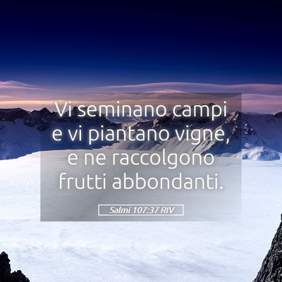 Picture 05 - Salmi 107:37 RIV - Vi seminano campi e vi piantano vigne, e ne - Bible Verse Picture