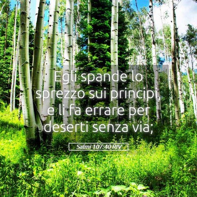 Picture 05 - Salmi 107:40 RIV - Egli spande lo sprezzo sui principi, e li fa - Bible Verse Picture