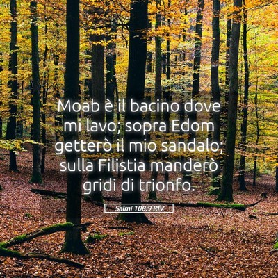Picture 05 - Salmi 108:9 RIV - Moab è il bacino dove mi lavo; sopra Edom - Bible Verse Picture