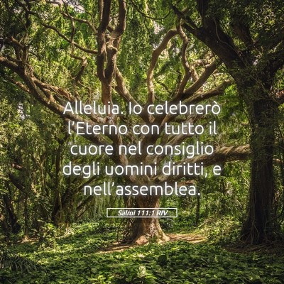 Picture 05 - Salmi 111:1 RIV - Alleluia. Io celebrerò l’Eterno con tutto il - Bible Verse Picture