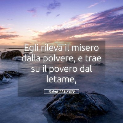 Picture 05 - Salmi 113:7 RIV - Egli rileva il misero dalla polvere, e trae su il - Bible Verse Picture