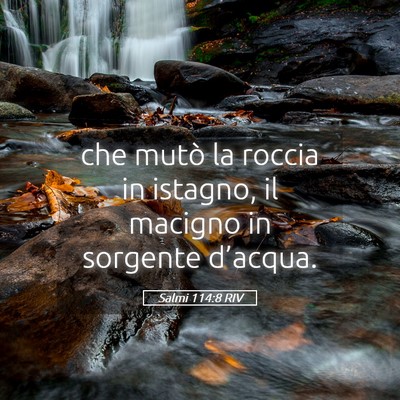 Picture 05 - Salmi 114:8 RIV - che mutò la roccia in istagno, il macigno in - Bible Verse Picture