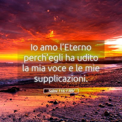 Picture 05 - Salmi 116:1 RIV - Io amo l’Eterno perch’egli ha udito la mia - Bible Verse Picture