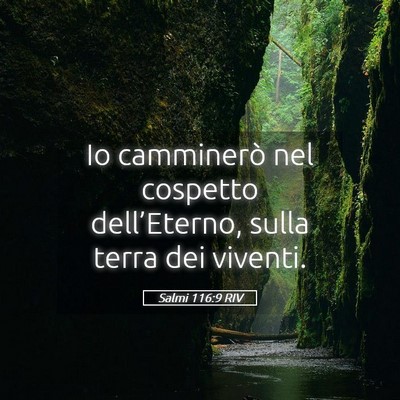 Picture 05 - Salmi 116:9 RIV - Io camminerò nel cospetto dell’Eterno, sulla - Bible Verse Picture