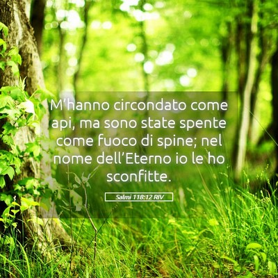 Picture 05 - Salmi 118:12 RIV - M’hanno circondato come api, ma sono state - Bible Verse Picture