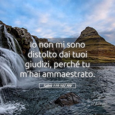 Picture 05 - Salmi 119:102 RIV - Io non mi sono distolto dai tuoi giudizi, perché - Bible Verse Picture