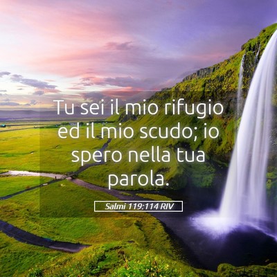 Picture 05 - Salmi 119:114 RIV - Tu sei il mio rifugio ed il mio scudo; io spero - Bible Verse Picture
