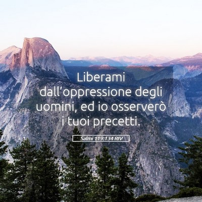 Picture 05 - Salmi 119:134 RIV - Liberami dall’oppressione degli uomini, ed io - Bible Verse Picture