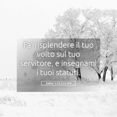 Picture 05 - Salmi 119:135 RIV - Fa’ risplendere il tuo volto sul tuo servitore, - Bible Verse Picture