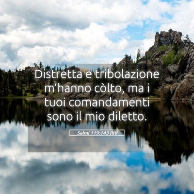Picture 05 - Salmi 119:143 RIV - Distretta e tribolazione m’hanno còlto, ma i - Bible Verse Picture