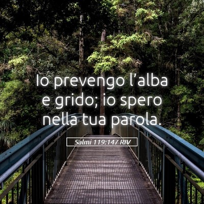 Picture 05 - Salmi 119:147 RIV - Io prevengo l’alba e grido; io spero nella tua - Bible Verse Picture