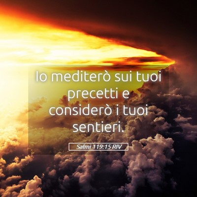 Picture 05 - Salmi 119:15 RIV - Io mediterò sui tuoi precetti e considerò i - Bible Verse Picture